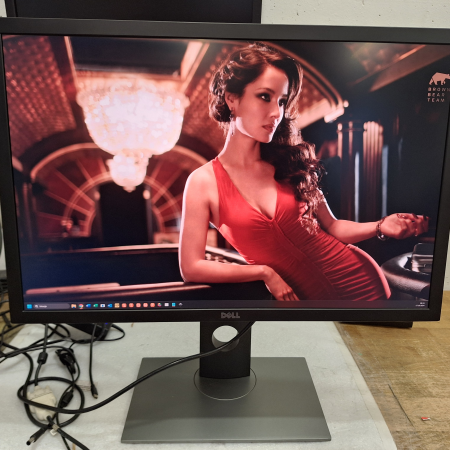 Monitor, 76.2 cm (30''), DELL UltraSharp UP3017 Premier Color... ugodna cena / kvaliteta A-  